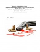 PROGRAMA DE FORMACION PROFESIONAL DE CONSULTORES