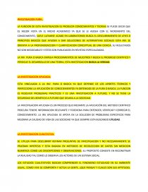 LA FUNCION DE ESTA INVESTIGACION ES PRODUCIR CONOCIMIENTOS Y TEORIAS SE PUEDE DECIR QUE ES MEJOR VISTA EN EL MEDIO ACADEMICO. Página 1
