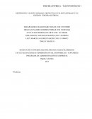 GESTIÓN DEL TALENTO HUMANO: PROYECTO EL TALENTO HUMANO Y SU GESTIÓN: TERCERA ENTREGA