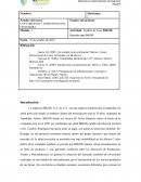 La gran empresa BIKOR, S.A.