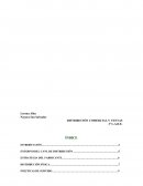 Estrategia de ventas. San Miguel