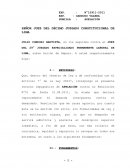 SEÑOR JUEZ DEL DÉCIMO JUZGADO CONSTITUCIONAL DE LIMA