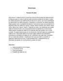 Armado de cable de red