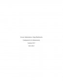 Proceso Administrativo: Etapa Planificación Fundamentos de la administración