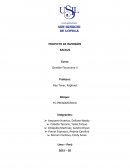 PROYECTO DE INVERSIÒN 1. Marco teórico