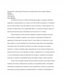 Organización y Motivación de Pertenencia a las Barras Bravas de los equipos Olimpia y Motagua.