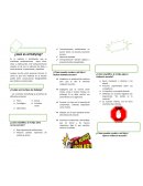 Es el maltrato e intimidación que se manifiesta cotidianamente entre niños, niñas y adolescentes