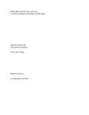 Implementacion de canecas