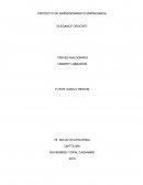 Cual es el Proyecto ELEGANCE CROCHET