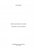 Brief de la empresa arroz