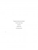 Flujograma sistema persona-máquina. Ergonomía