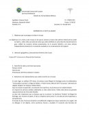 INFORME DE LA VISITA AL MUSEO Objetivos que se persigue al visitar el museo