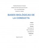 La Conducta humana - Ensayo