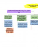 Contestar la pregunta ¿Por Que el Adulto Mayor Debe Practicar Ejercicio?