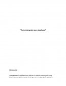 Ensayo de Administracion por objetivos