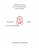 Introduccion a la Economia : Perfil de investigacion