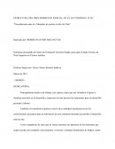 ESTRUCTURA DEL PROCEDIMIENTO JUDICIAL EN LA LEY INDÍGENA 19.253