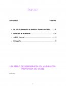UN SIGLO DE DEMOGRAFIA EN ANDALUCIA