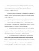 Ensayo sobre el Grupo EROSKI.