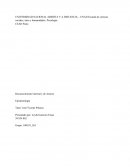 Conceptos claros sobre epistemología