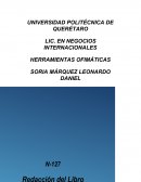 Ensayo de Desde mi cCelo