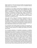 Economia en los umbrales del siglo xx