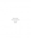 Conceptos de Fundamentos de Administración