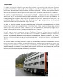 Transportación de cerdos.