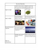 Cuadro comparativo recursos naturales