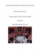 Rebelion en la granja