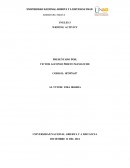 GRANDES ESPECTATIVAS COLOMBIA 2050