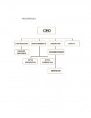 El proceso de esta organización comienza con el CEO de la compañía