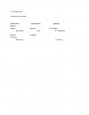 La Discapacidad - Condición que implica