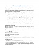 La Alimentación en la adolescencia