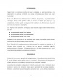 Que es la estrategia.