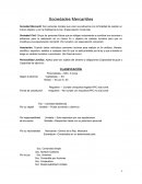 Sociedades mercantiles ensayo