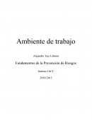 Control - fundamentos de la prevencion de riesgos