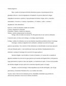 Resumen - Sistema digestivo