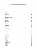 Manofactura Automotriz