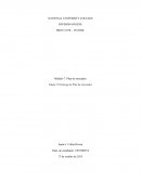 Módulo 7: Plan de mercadeo