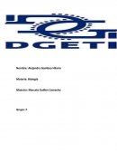 LA ORGANIZACIÓN PLURICELULAR