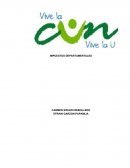 TRABAJO FINAL ASIGNATURA ARGUMENTOS Y DEBATES IMPUESTOS DEPARTAMENTALES