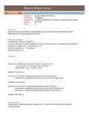 CURRICULUM VITAE- FORMACION ACADEMICA