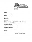 Programa de actividades de la campaña utilizando un diagrama o una gráfica de Gantt