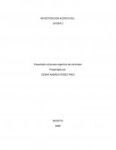 Investigacion oporto