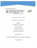 Ensayo del desarrollo del lenguaje y el alfabetismo