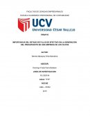 IMPORTANCIA DEL ESTADO DE FLUJO DE EFECTIVO EN LA GENERACIÓN DEL PRESUPUESTO EN UNA EMPRESA DE LOS OLIVOS