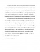 La filosofía de vida es la llave maestra