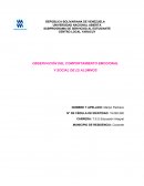 INFORME SOBRE OBRVACION DEL COMPORTAMIENTO EMOCIONAL Y SOCIAL DE 2 ALUMNOS