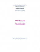 PRÀCTICA DE POLIGONALES